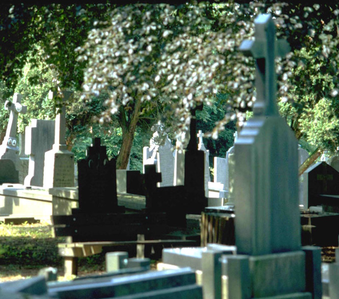 Historic headstone in a cemetery